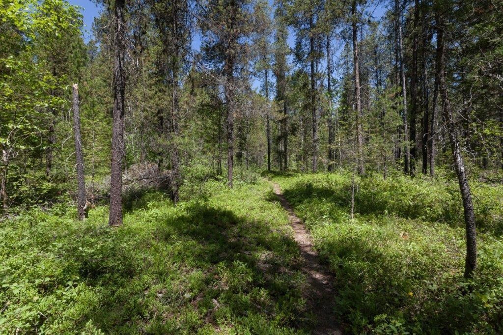 NHN Belton Stage, West Glacier, MT 59936 photo 17