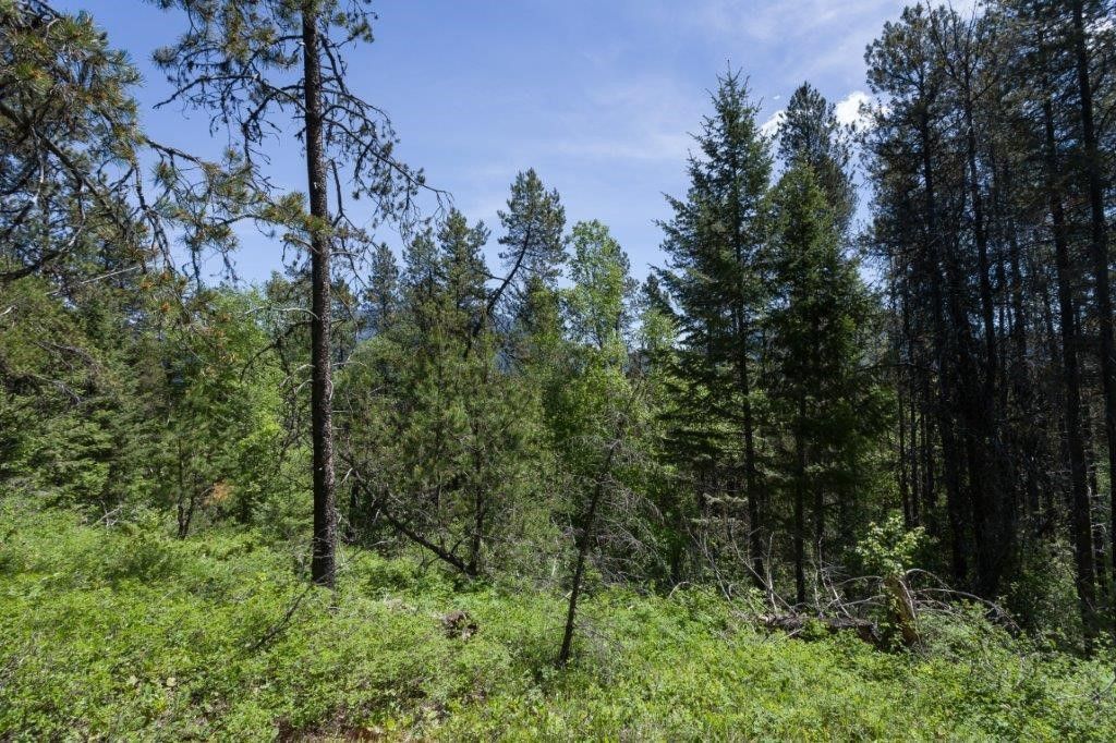 NHN Belton Stage, West Glacier, MT 59936 photo 21