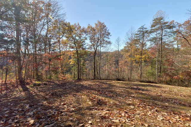 69 Side Run Road, Wellington, KY 40387