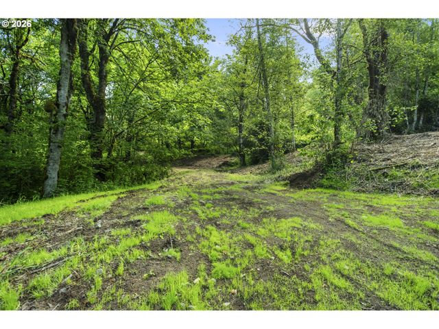 110 N BURKE Rd 1, Woodland, WA 98674
