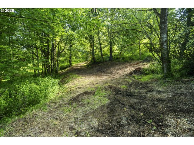 110 N BURKE Rd 1, Woodland, WA 98674
