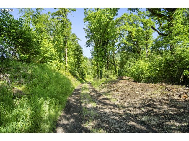 110 N BURKE Rd 1, Woodland, WA 98674