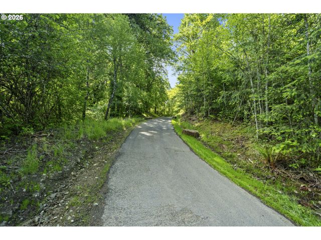 110 N BURKE Rd 1, Woodland, WA 98674