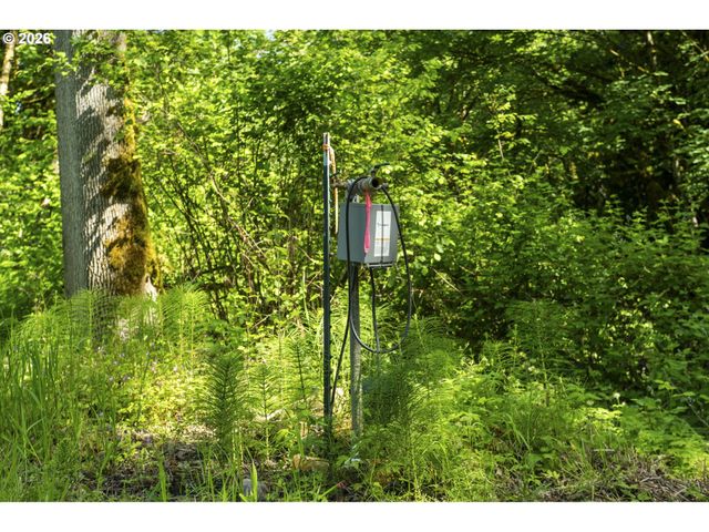 110 N BURKE Rd 1, Woodland, WA 98674