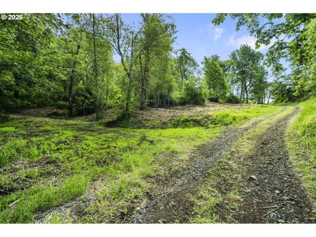 110 N BURKE Rd 1, Woodland, WA 98674