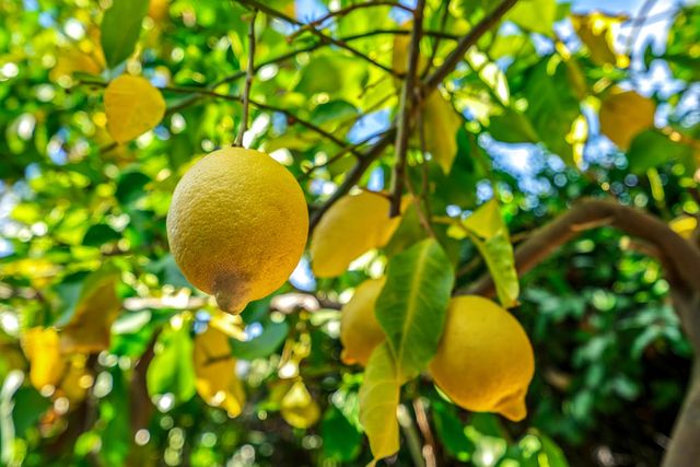 1611 S Calle Palo Fierro 4, Palm Springs, CA 92264