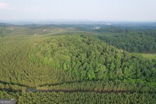 12 +/- Acres on Yarborough Road, Summerville, GA 30747