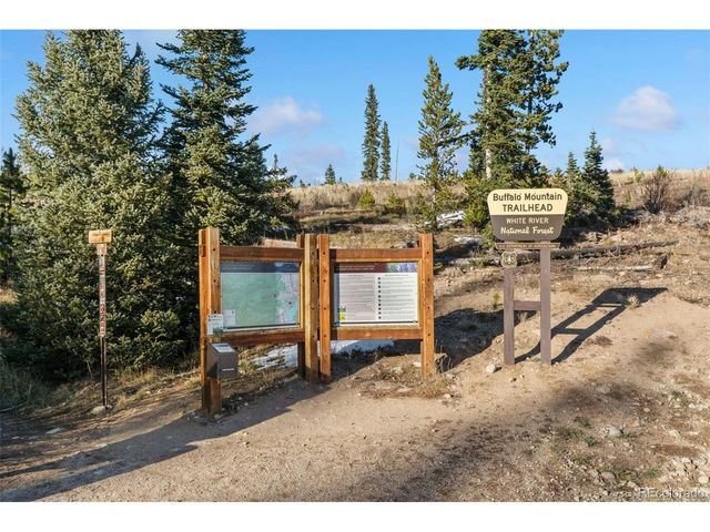 91100 Ryan Gulch Rd 91122, Silverthorne, CO 80498