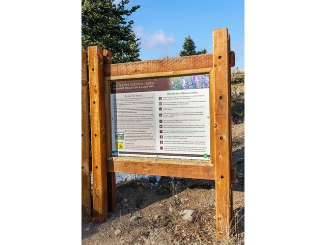 91100 Ryan Gulch Rd 91122, Silverthorne, CO 80498