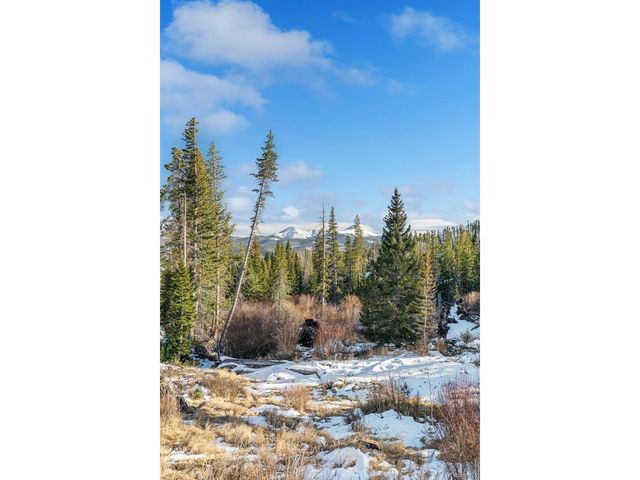 91100 Ryan Gulch Rd 91122, Silverthorne, CO 80498