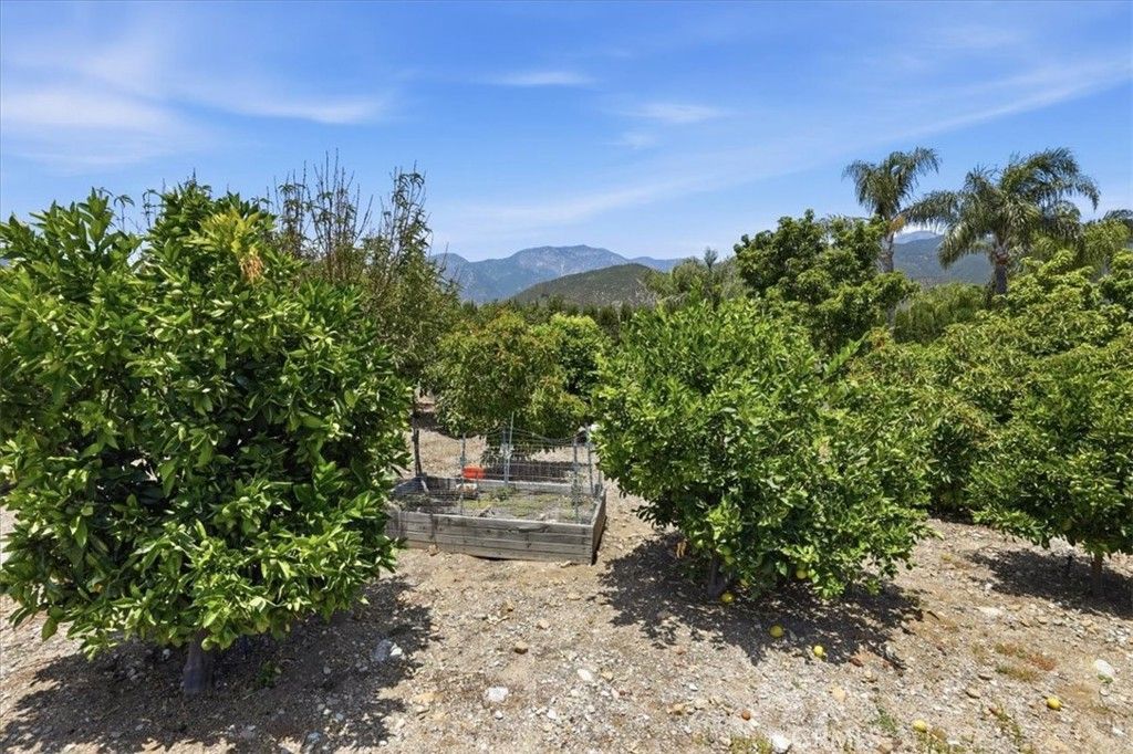 Image 64 of property listing at 8318 La Senda, Rancho Cucamonga, CA 91701