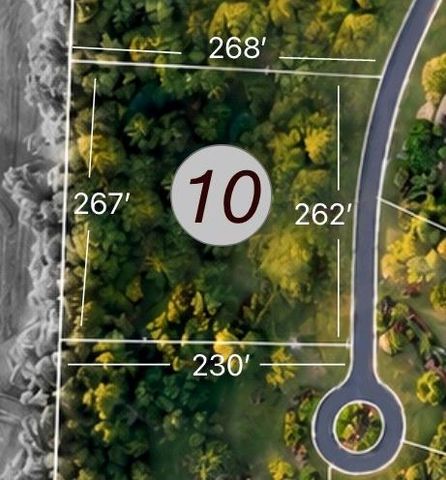 TDB Lot 10 Bellinger Road, Montgomery, TX 77316