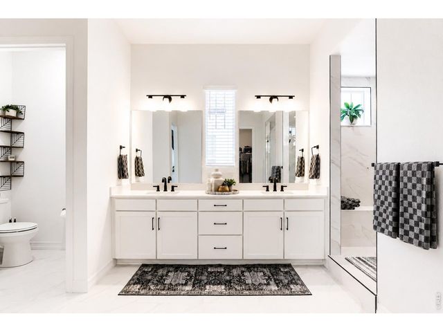 1365 Alyssa Dr, Timnath, CO 80547