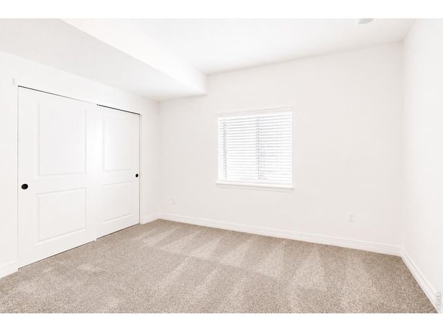 1365 Alyssa Dr, Timnath, CO 80547