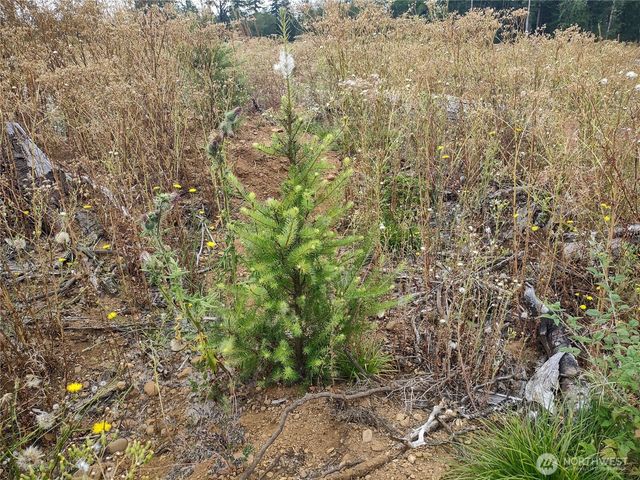 0 Summit Lake Road, Olympia, WA 98502