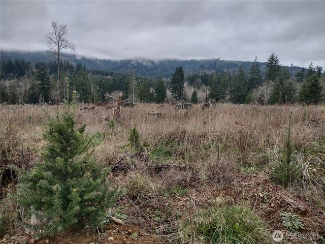 0 Summit Lake Road, Olympia, WA 98502