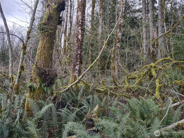 0 Summit Lake Road, Olympia, WA 98502