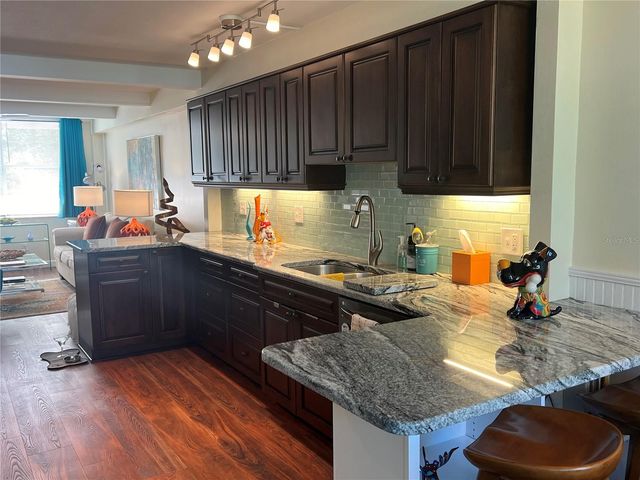4720 LOCUST STREET NE 311, St Petersburg, FL 33703