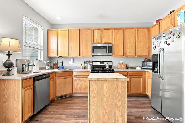 1693 W Turtle Creek Lane, Round Lake, IL 60073
