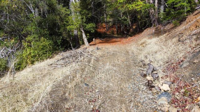 47111 Fox Rock Rd, Laytonville, CA 95454
