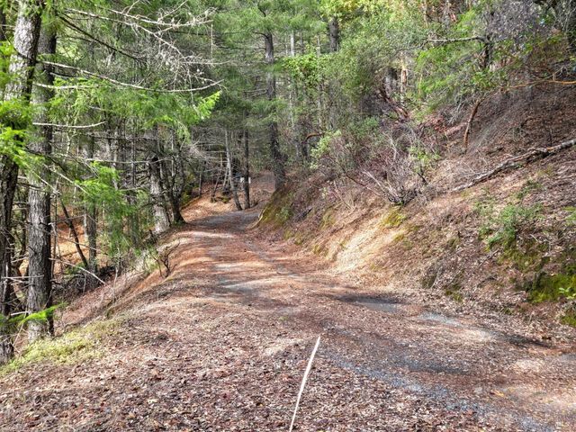 47111 Fox Rock Rd, Laytonville, CA 95454