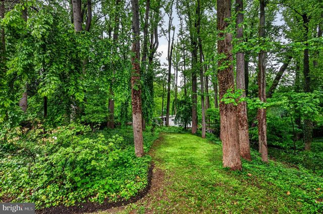 6538 OAKWOOD DR, Falls Church, VA 22041