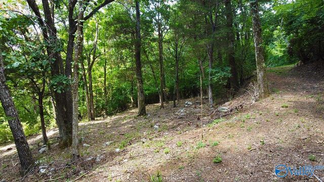 2216 Governors Bend Road SE, Huntsville, AL 35801