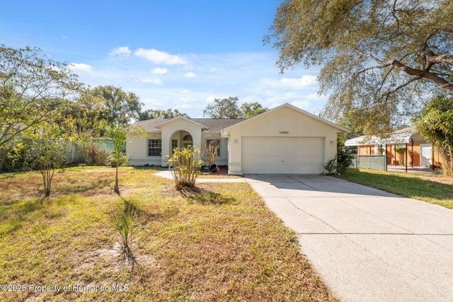 10290 ADLER STREET, Spring Hill, FL 34608