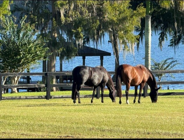 746 LAKE MILLS ROAD, Oviedo, FL 32766