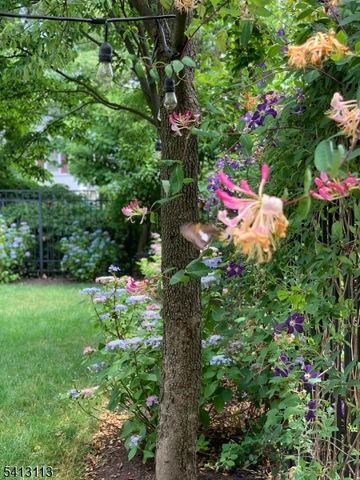 646 Forest Ave, Westfield Town, NJ 07090