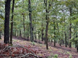 135 W Van Buren, Eureka Springs, AR 72632