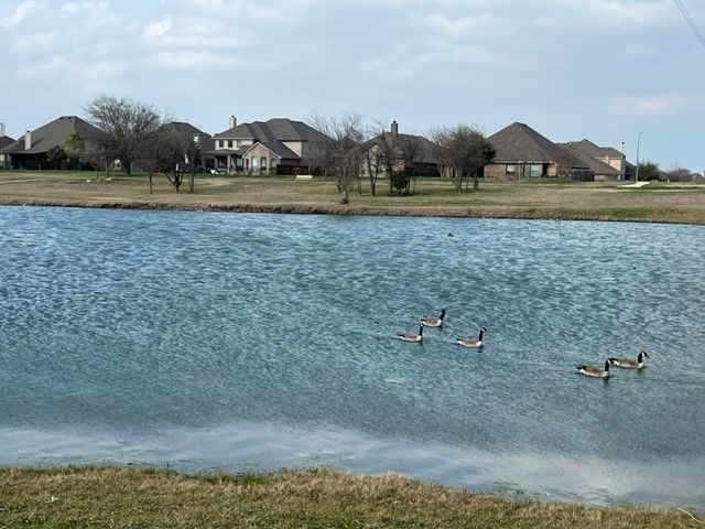 4500 Lakeside Hollow Street, Fort Worth, TX 76262