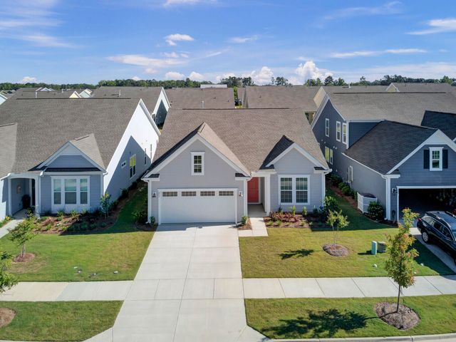 253 River Martin Court, Summerville, SC 29483