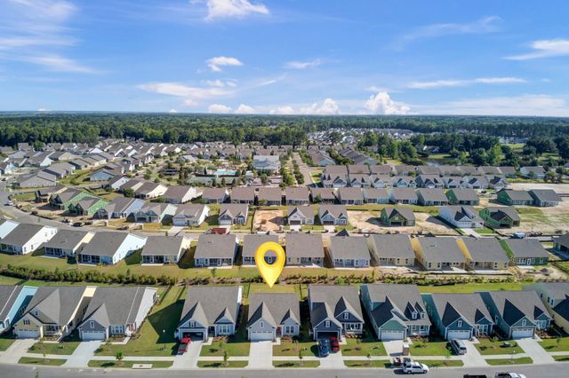 253 River Martin Court, Summerville, SC 29483