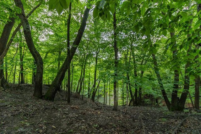 454 Country View Lane, Tyrone Twp, MN 56058