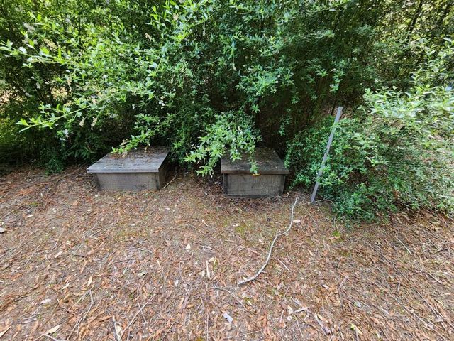 20604 Little Basin Road, Boulder Creek, CA 95006