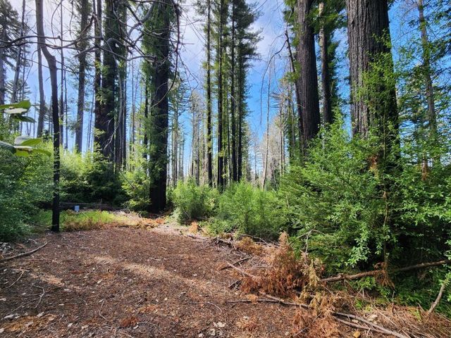 20604 Little Basin Road, Boulder Creek, CA 95006