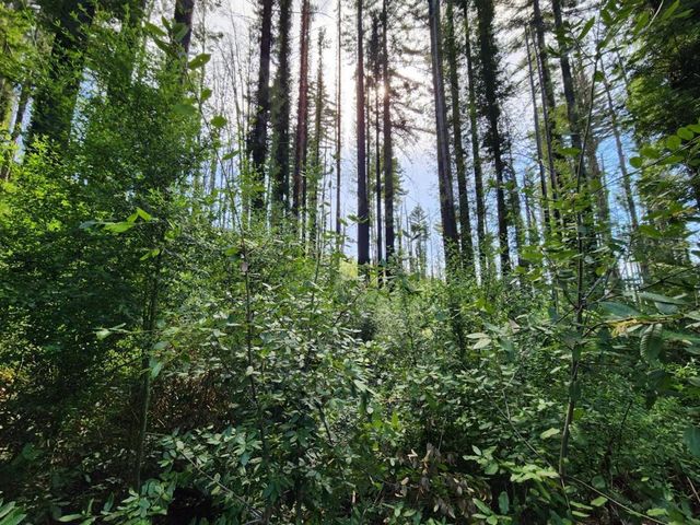 20604 Little Basin Road, Boulder Creek, CA 95006