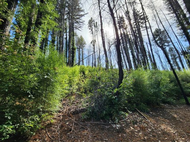 20604 Little Basin Road, Boulder Creek, CA 95006