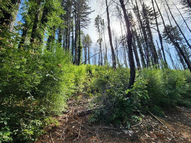 20604 Little Basin Road, Boulder Creek, CA 95006