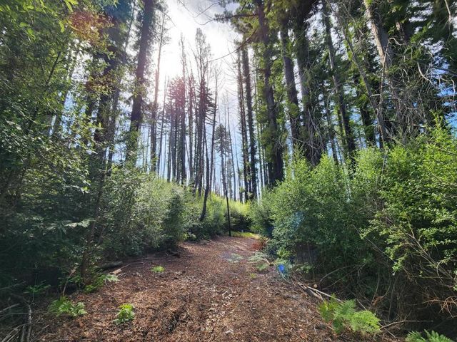 20604 Little Basin Road, Boulder Creek, CA 95006