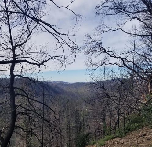 20604 Little Basin Road, Boulder Creek, CA 95006