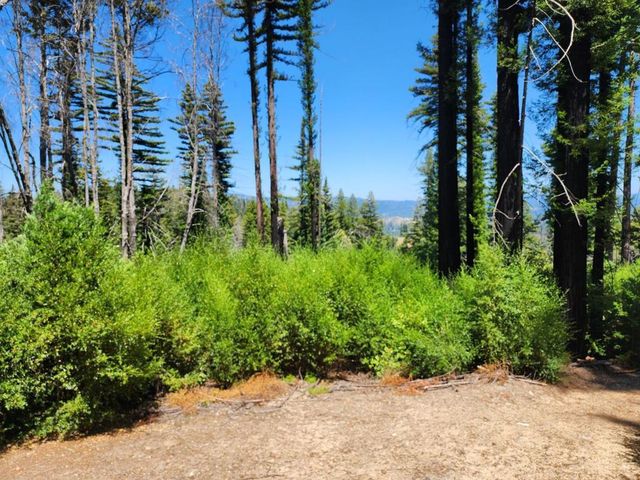 20604 Little Basin Road, Boulder Creek, CA 95006