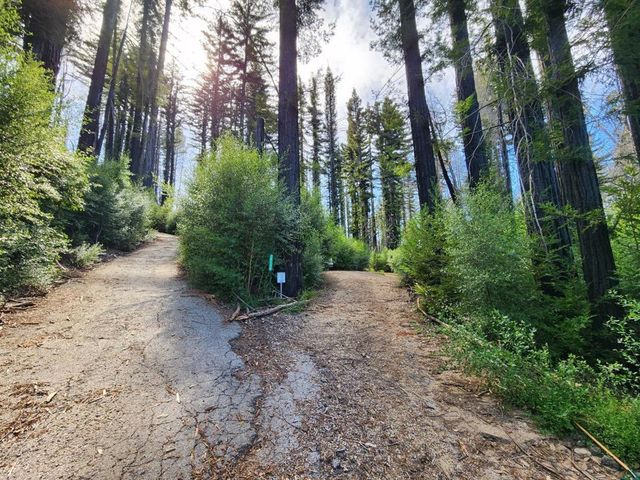 20604 Little Basin Road, Boulder Creek, CA 95006