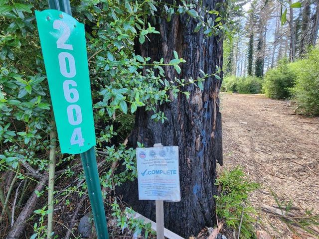 20604 Little Basin Road, Boulder Creek, CA 95006