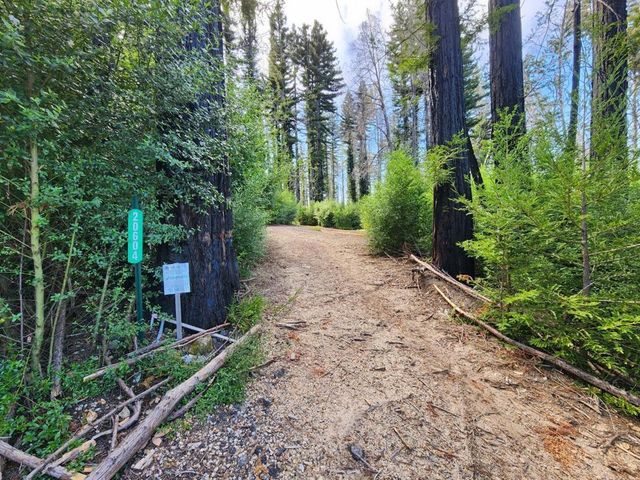 20604 Little Basin Road, Boulder Creek, CA 95006