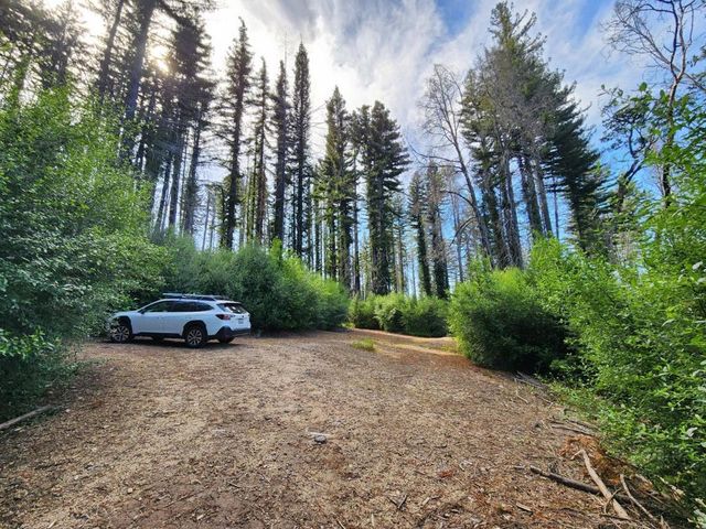 20604 Little Basin Road, Boulder Creek, CA 95006