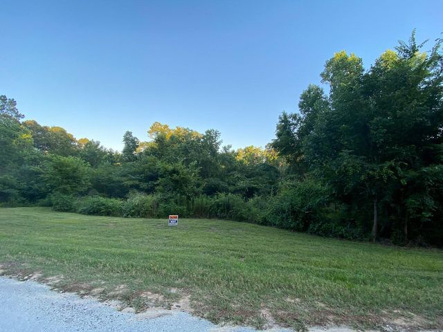 00 White Oak Drive, Point Blank, TX 77364
