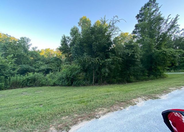 00 White Oak Drive, Point Blank, TX 77364