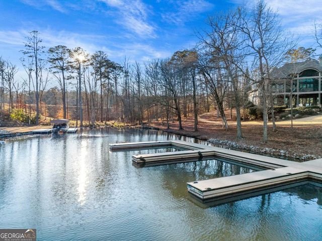 1041 Holts Ferry, Greensboro, GA 30642